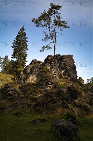 Dolomite rocks, sea of rocks, Wental, Barholomä, Swabian Alb, Baden-Württemberg, Germany, Europe