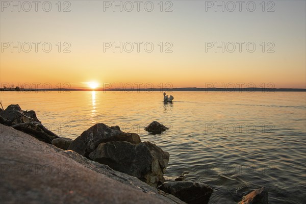 Sunset on the shore of a lake in summer. Colourful sky with a wide view of the horizon. Natural