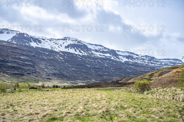 Snow mountain range at Seydisfjordur, Iceland with meadow in front