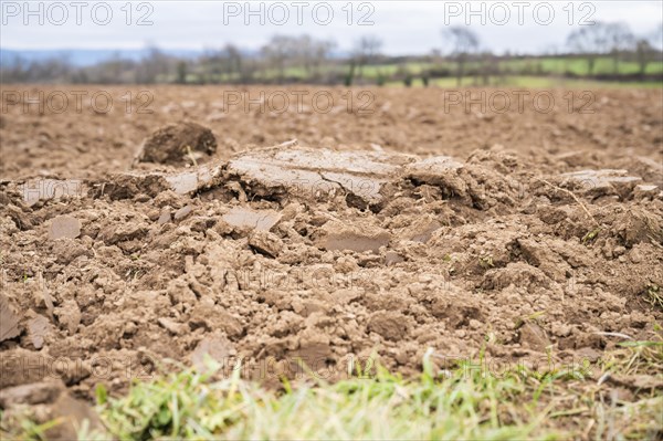 Topsoil brown soil on an agricultural field view from low angle, focus on foreground during cloudy