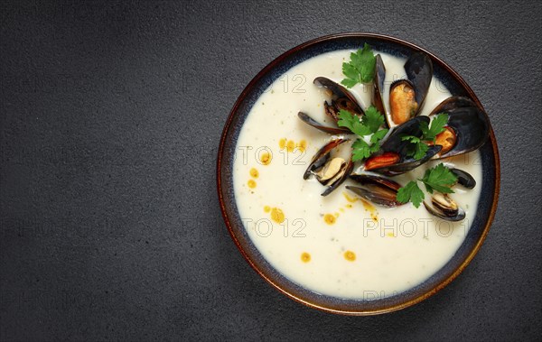 Chowder cream soup with mussels, American cuisine, homemade, no people