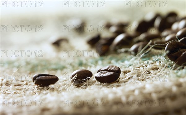 Coffee beans on coffee sack, close-up