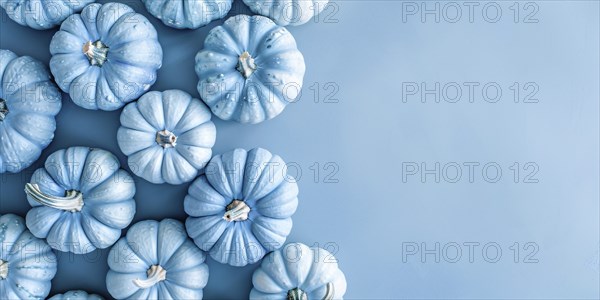 Banner with pastel blue decorative pumpkins on side of blue background with copy sapce. Generative