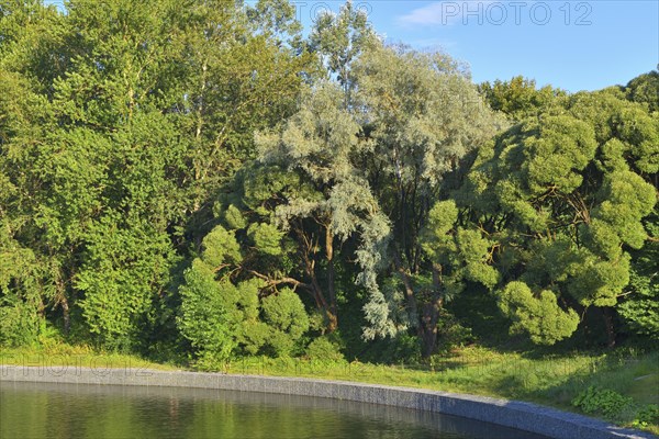 Arboretum and large city pond in Zelenograd in Moscow, Russia, Europe
