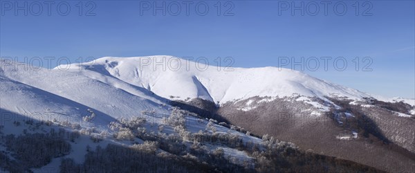 Panorama of Carpathian mountains winter landscape, Ukraine, Europe