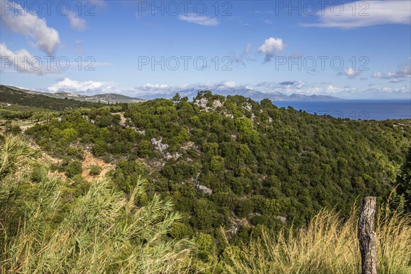 Great typical Greek landscape, Mediterranean nature of Greece. Landscape shot in the evening,
