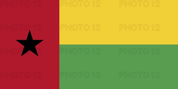 Flag of Guinea-Bissau, Vector illustration