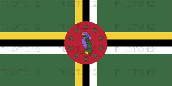Flag of Dominica, Vector illustration
