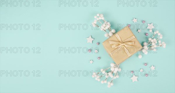 Gift box with snow covered berries, christmas holiday wintertime