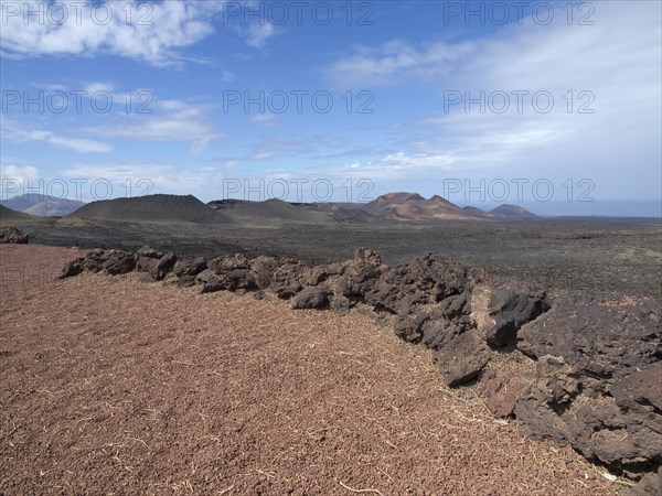Large desert landscape with reddish soil and black lava rock in the foreground under a blue sky,