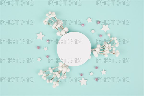 Snow covered berries, rose colored baubles, christmas holiday and new year background, wintertime
