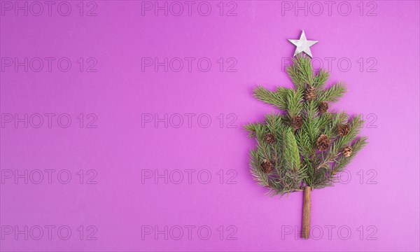 Christmas tree made from fir branches, pine cones and a cinnamon stick as the trunk, pink greeting