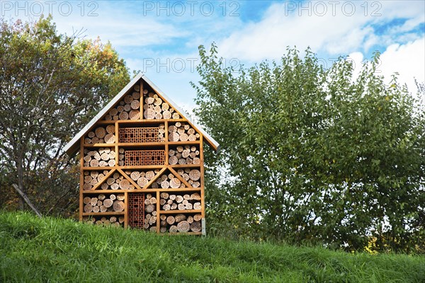 Wooden insect hotel, habitat for bugs and bees, rescue house, environment and ecology conversation,