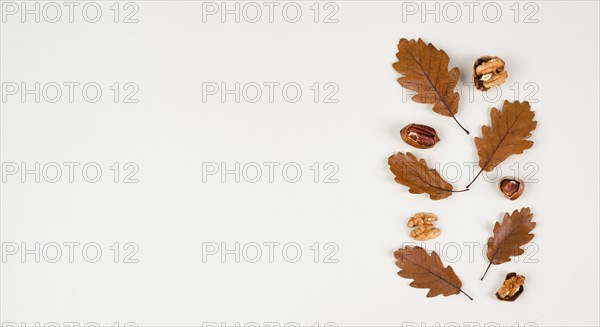 Autumn season background, frame with colorful foliage, brown oak leaves and nuts, greeting card