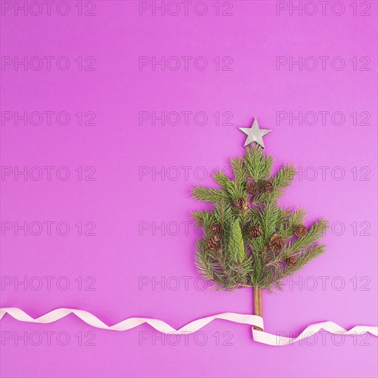 Christmas tree made from fir branches, pine cones and a cinnamon stick as the trunk, pink greeting