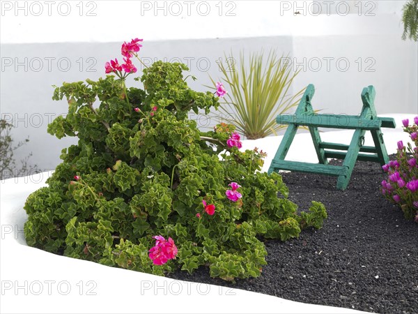 Garden with green plants and pink flowers, next to a small, green painted wooden chair, arrecife,