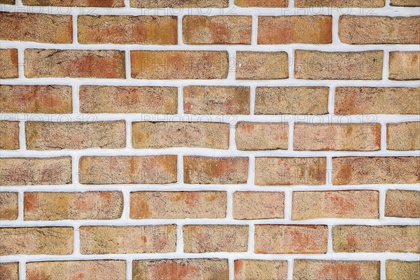 A close-up view of a rustic brick wall with red bricks and white mortar, background image
