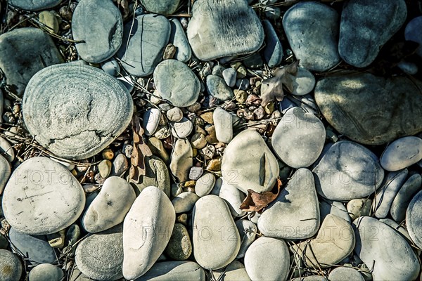 A collection of various sized rocks and pebbles on the ground with sunlight and shadows, and an