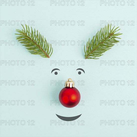 Face of a reindeer with a red bauble nose, fir antlers and friendly eyes, merry christmas greeting