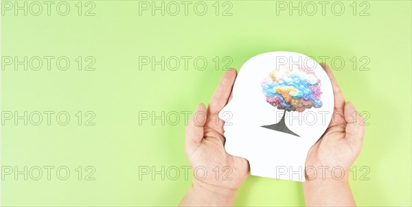 Holding a head with a colorful tree in the hands, symbol for creativity, connection to nature and