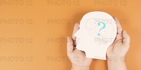 Head with a brain and question mark, education and business concept, searching for answers,