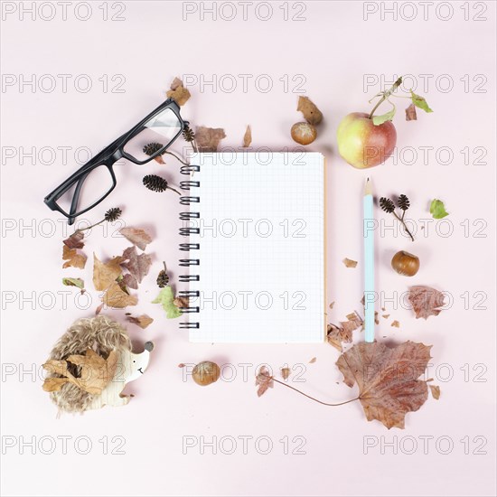 Empty notebook with an apple and a hedgehog, autumn template with colorful leaves, office desk,