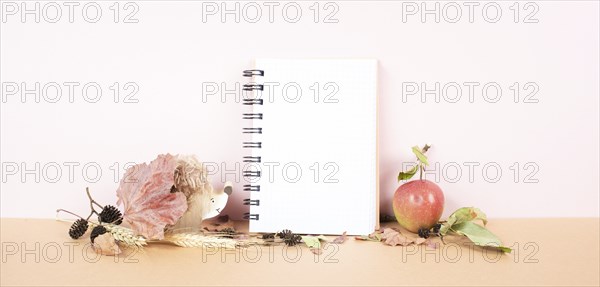 Empty notebook with an apple and a hedgehog, autumn background with colorful leaves, office desk,