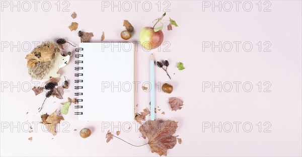 Empty notebook with an apple and a hedgehog, autumn template with colorful leaves, office desk,
