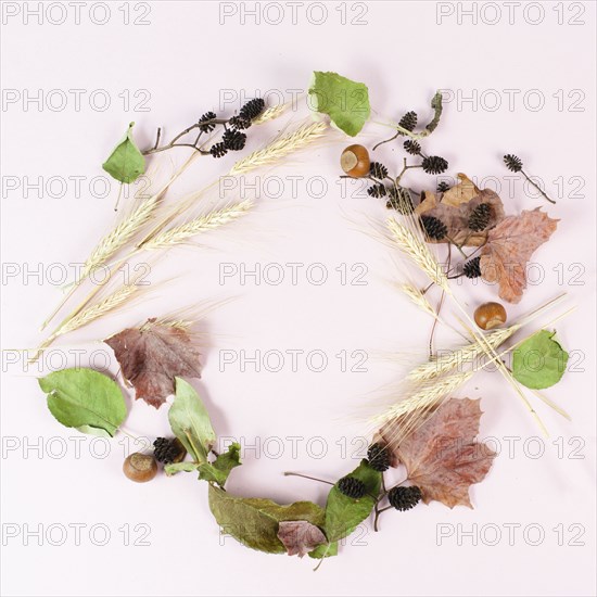 Autumn season background with copy space, template with colorful leaves building a circle, pastel