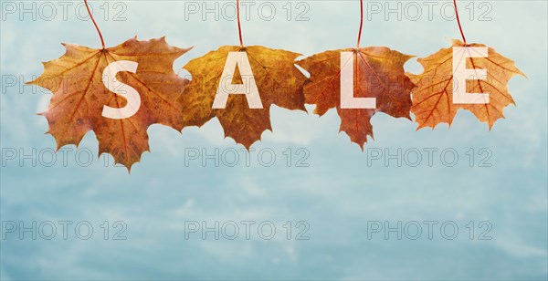 Autumn sale background with colorful leaves, discount tag, business promotion template, copy space