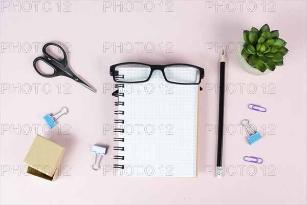 Empty notebook with a pen, eyeglasses and a cactus on a pastel colored desk, brainstorming for new