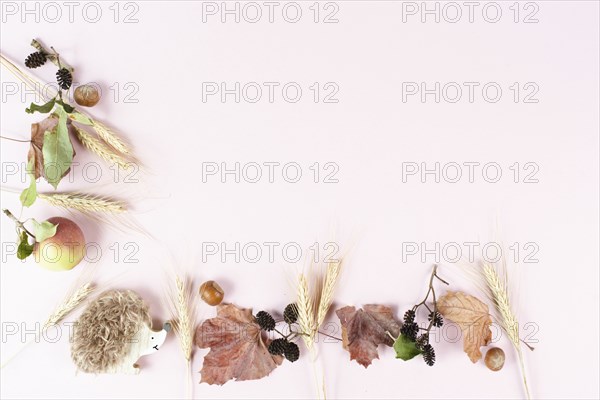 Autumn season background with copy space, template with colorful leaves, an apple and a hedgehog,