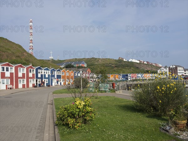 Colourful houses and a lighthouse on a quiet street next to a meadow, Heligoland, North Sea,