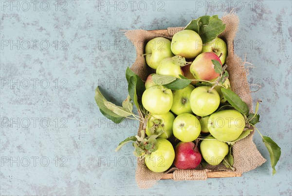 Basket with fresh ripe apples standing on a table, fruit harvest in the summer, healthy organic