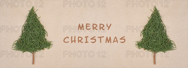 Christmas trees made from fir needles, holiday greeting card, winter season