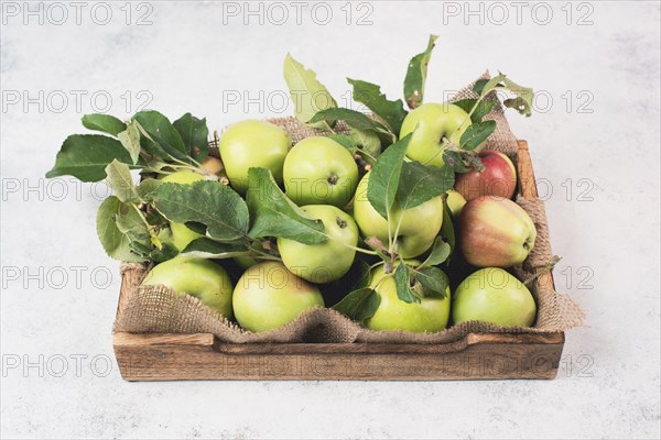 Basket with fresh ripe apples standing on a table, fruit harvest in the summer, healthy organic