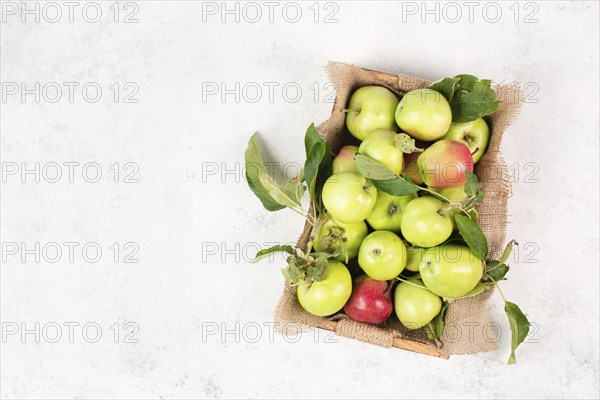 Basket with fresh ripe apples standing on a table, fruit harvest in the summer, healthy organic