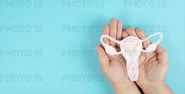 Holding an uterus organ with ovaries in the hands, female reproductive system, pregnancy and