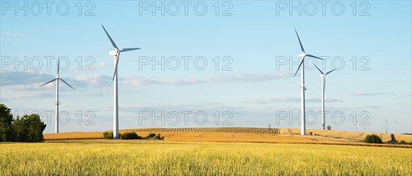 Windmills in a wheat field, renewable sustainable energy, electricity generator, environmental