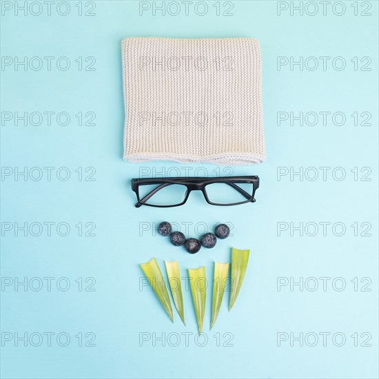 Human face of a man made with a wool hat, glasses and leaves as a beard, funny minimalist portrait,