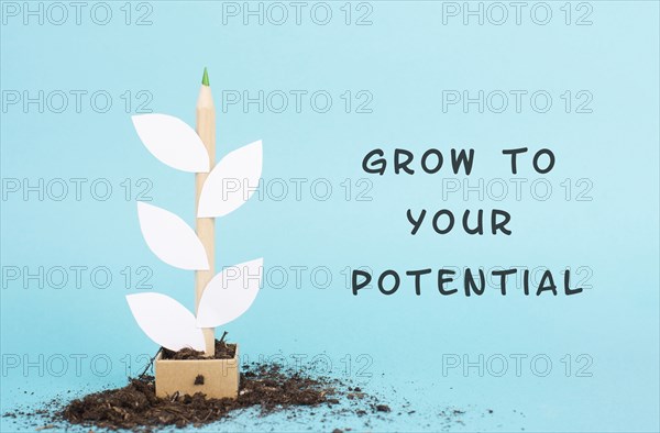 Plant made from a pencil and paper, the phrase grow to your potential is standing on the