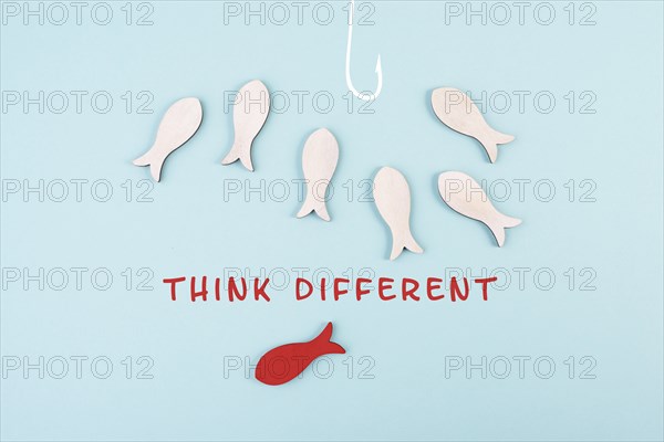 Group of fishes swimming to the fishing rod, red fish thinks different and takes the opposite