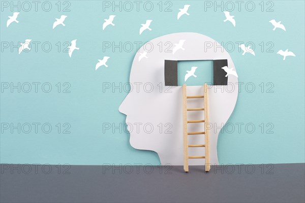 Silhouette of a man, window to the brain, birds flying, ladder of success, open minded,