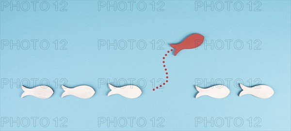 One red fish takes a different direction, leader of the group, leadership and teamwork concept, be