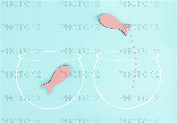 One fish is the leader of the group, leadership and teamwork concept, be a winner, success and