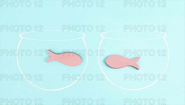 Two little fish in separated aquariums looking at each other, freedom and friendship concept,