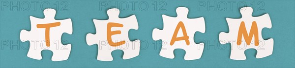 The word team is standing on puzzle pieces, connect the parts together, corporate in teamwork,