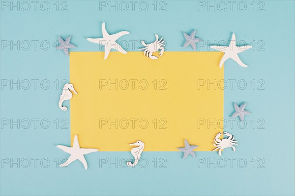 Empty yellow colored paper, sea stars, seahorses and crab bulding a frame, summer vacation, tourism