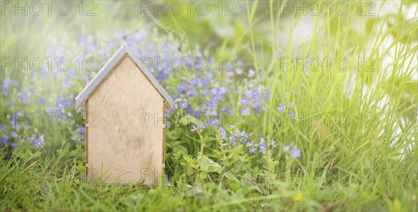 Wooden house in a meadow, buying or renting a house in nature, real estate concept, booking home