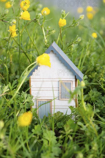 Wooden house in a meadow, buying or renting a housein nature, real estate concept, booking home for